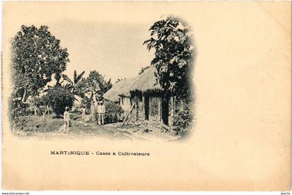 PC MARTINIQUE MARTINIQUE - CASES À CULTIVATEURS (a85811)