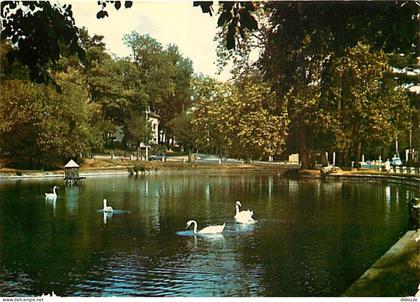 91 - Massy - Verrières - Le Parc - Cygnes - CPM - Voir Scans Recto-Verso
