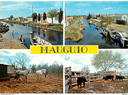 gd format -ref-AF173- herault - MAUGUIO - les cabanes de mauguio - souvenir de .. - multi vues -