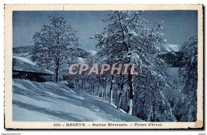CPA Megeve Station hivernale Fleurs d hiver
