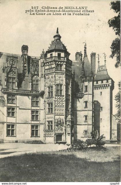 CPA Chateau de MEILLANT