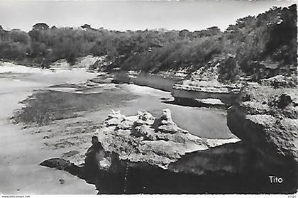 CPSM Meschers - Plage et Falaise de l'Arnèche