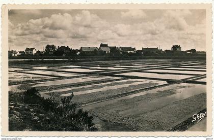 QUIMIAC EN MESQUER - Marais Salants de Kerdabelec