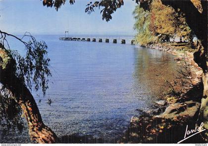 74 MESSERY CENTRE DE VACANCES POPULAIRES LA POINTE DE MESSERY