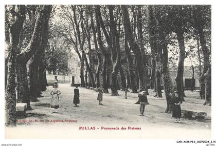 CAR-ACHP13-0874-66 - MILLAS - Promenade des platanes