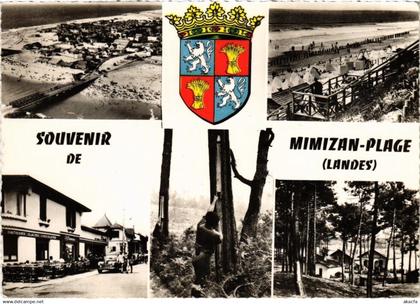 CPM Souvenir de Mimizan-Plage FRANCE (1337260)