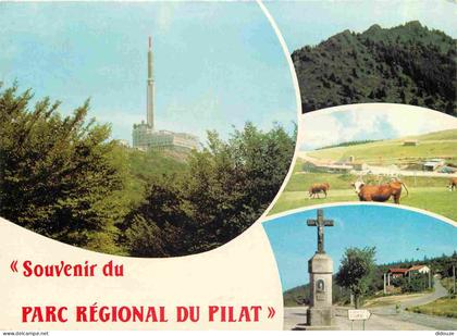 42 - Le Mont Pilat - Parc Naturel Régional du Pilat - Multivues - Vaches - CPM - Voir Scans Recto-Verso