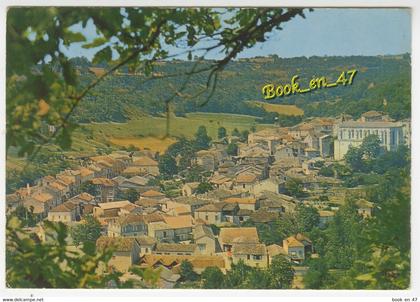 {86145} 82 Tarn et Garonne Montaigu de Quercy , Vue générale