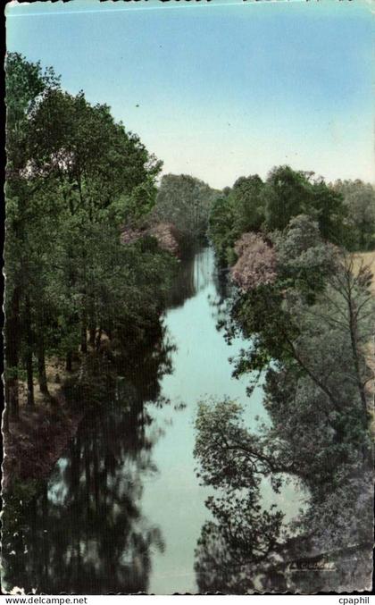 Montaigu - La Maine - CPA