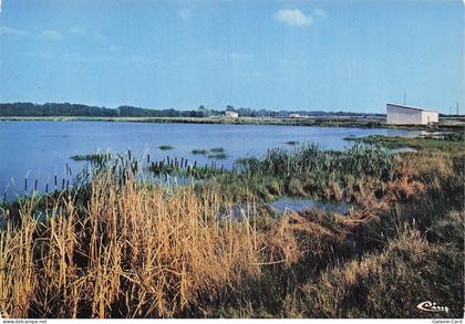 82 MONTECH LA PISCICULTURE