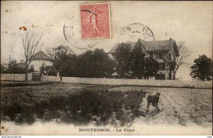 78 - MONTESSON - jardinier