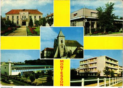CPM Souvenir de Montesson FRANCE (1452767)