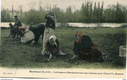 MONTESSON(CARTE EN COULEUR) CULTIVATEUR