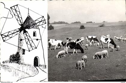 CPA Montfermeil Les Moutons Et Le Moulin