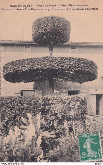 MONTIER EN DER(ARBRE) HETRE