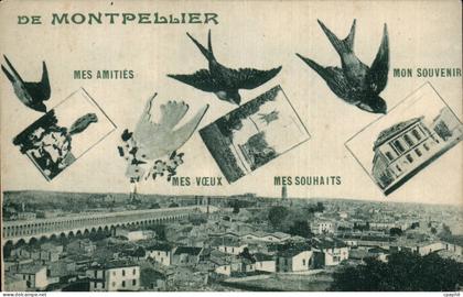 Montpellier CPA Hirondelles