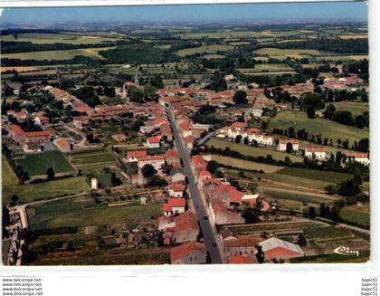 1 cpsm Montredon labessonnie