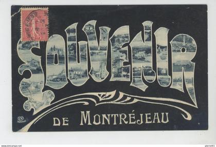MONTRÉJEAU - Jolie carte vues multiples "Souvenir de MONTRÉJEAU "