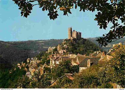 12 - Najac - Vue Générale - CPM - Voir Scans Recto-Verso
