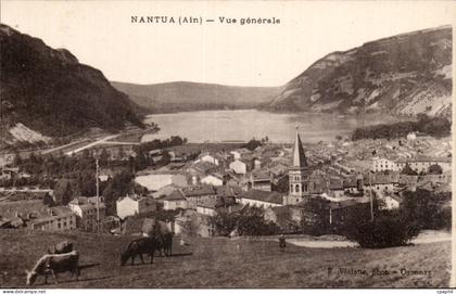 Nantua - Vue Generale - CPA