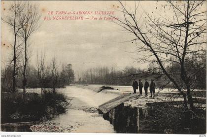 CPA NEGREPELISSE Vue de l'Aveyron (979298)