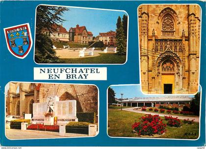 CPM Neuchatel en Bray (Seine Mme) Le jardin Public le Portail de N D