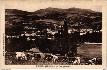 CPA NOIRETABLE - Vue générale (578477)