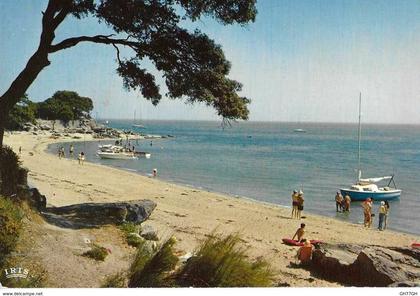 CP NOIRMOUTIER