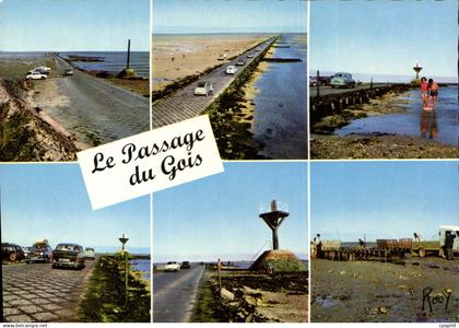 CPSM Ile De Noirmoutier Le Passage Du Gois