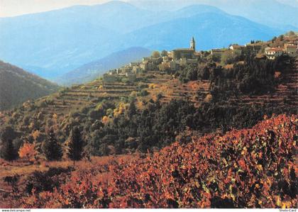 30 NOTRE DAME DE LA ROUVIERE MASSIF DE L AIGOUAL