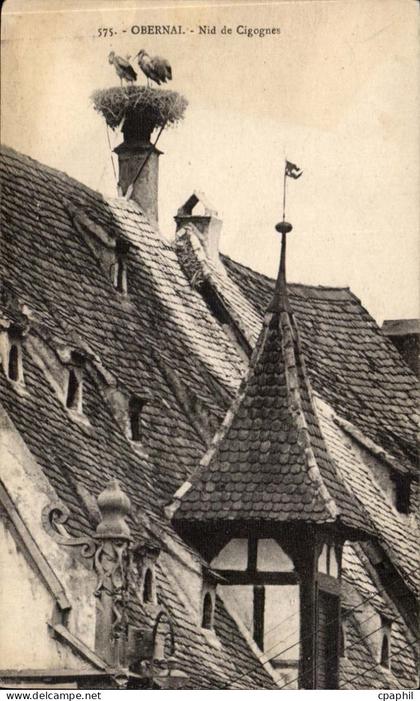 CPA Obernai Nid de cigognes