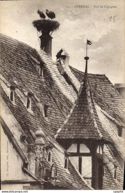 CPA Obernai nid de Cigognes