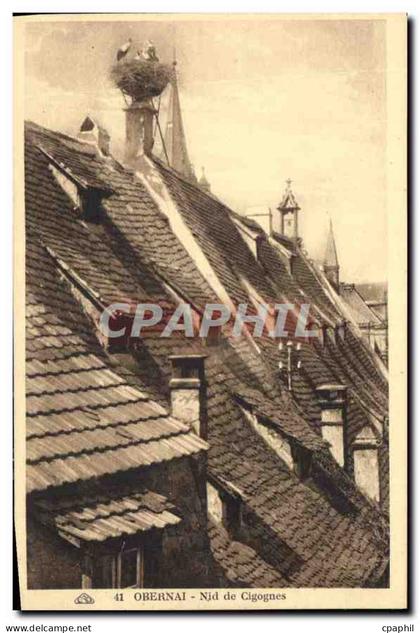 CPA Obernai Nid de Cigognes