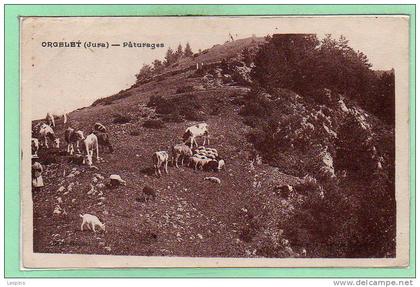 39 - ORGELET -- Paturage