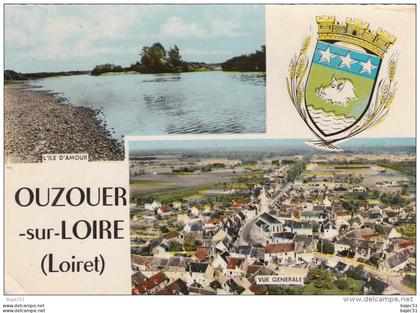 1 cpsm Ouzouer sur Loire