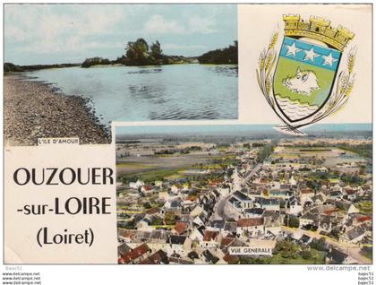 1 cpsm Ouzouer sur Loire