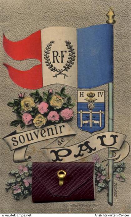 55095768 - Pau