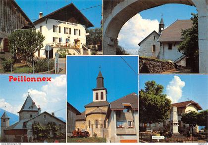 74-PEILLONNEX-N°535-A/0029