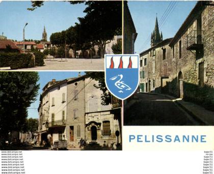 1 cpsm Pelissanne