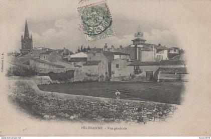 13 / PELISSANNE / VUE GENERALE
