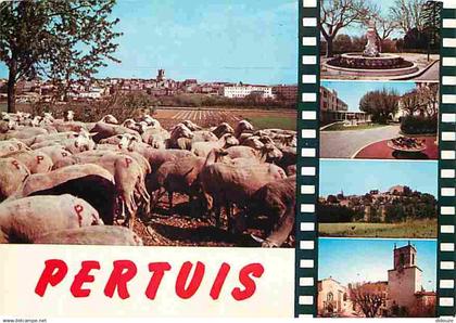 84 - Pertuis - Multivues - Moutons - Flamme Postale - CPM - Voir Scans Recto-Verso