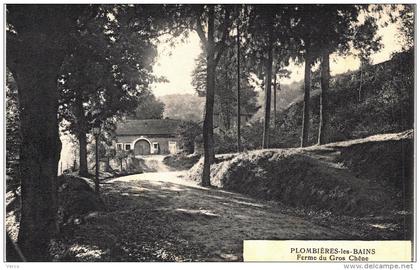 Carte Postale Ancienne de PLOMBIERES les BAINS