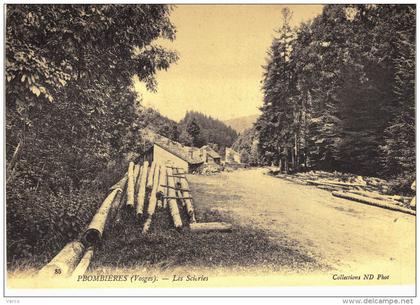 Carte Postale Ancienne de PLOMBIERES les BAINS