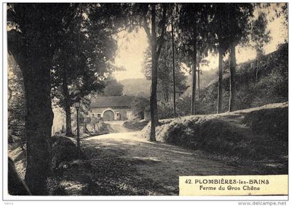 Carte Postale Ancienne de PLOMBIERES les BAINS