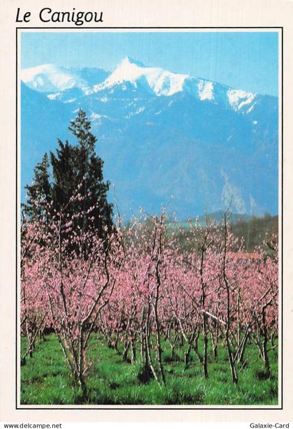 22 PLOUFRAGAN LE CANIGOU