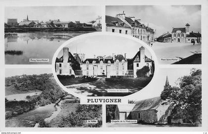 Pluvigner - Multivues - CPSM °J