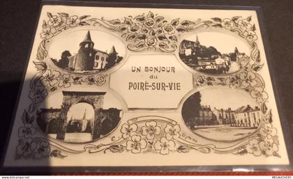 UN BONJOUR DU  POIRE SUR  VIE
