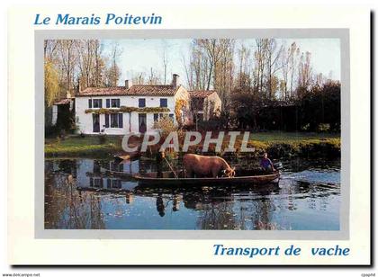 CPM Le Marais Poitevin Transport de vache