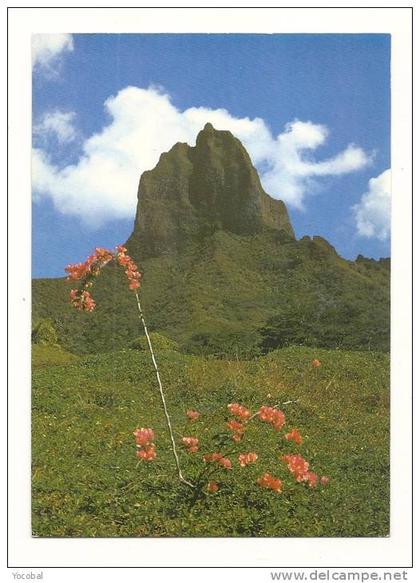 cp, Polynésie Française, Moorea, La Dent de Requin