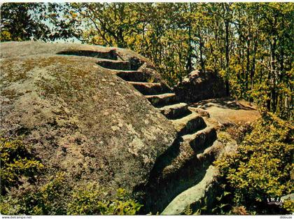 Carte Postale - 23 - Pontarion - Sur la colline de Martineiche la pierre aux neuf gradins - CPM - Voir Scans Recto-Verso